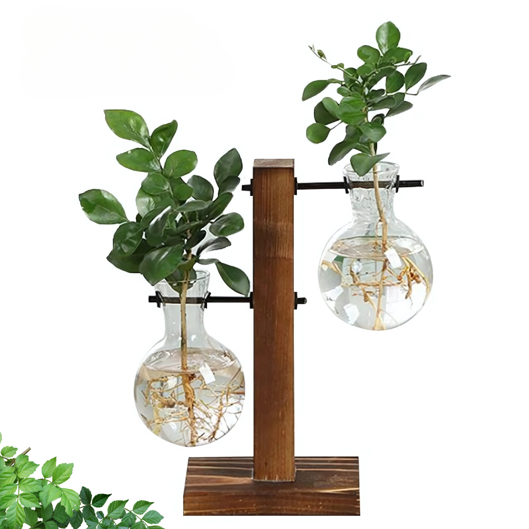 Glass Planter Hydroponic Pot Stylish Antique Frame By Susliving