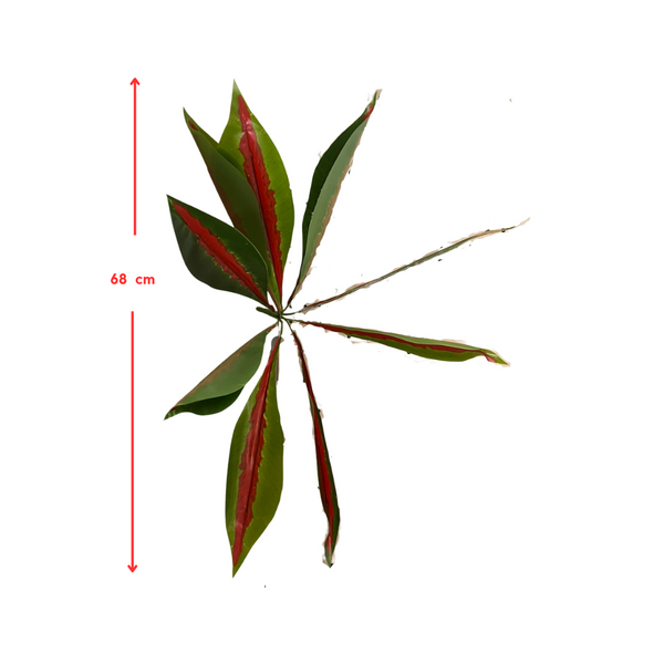 Susliving Faux Grass Red heart dragon fruit leaf 43cm