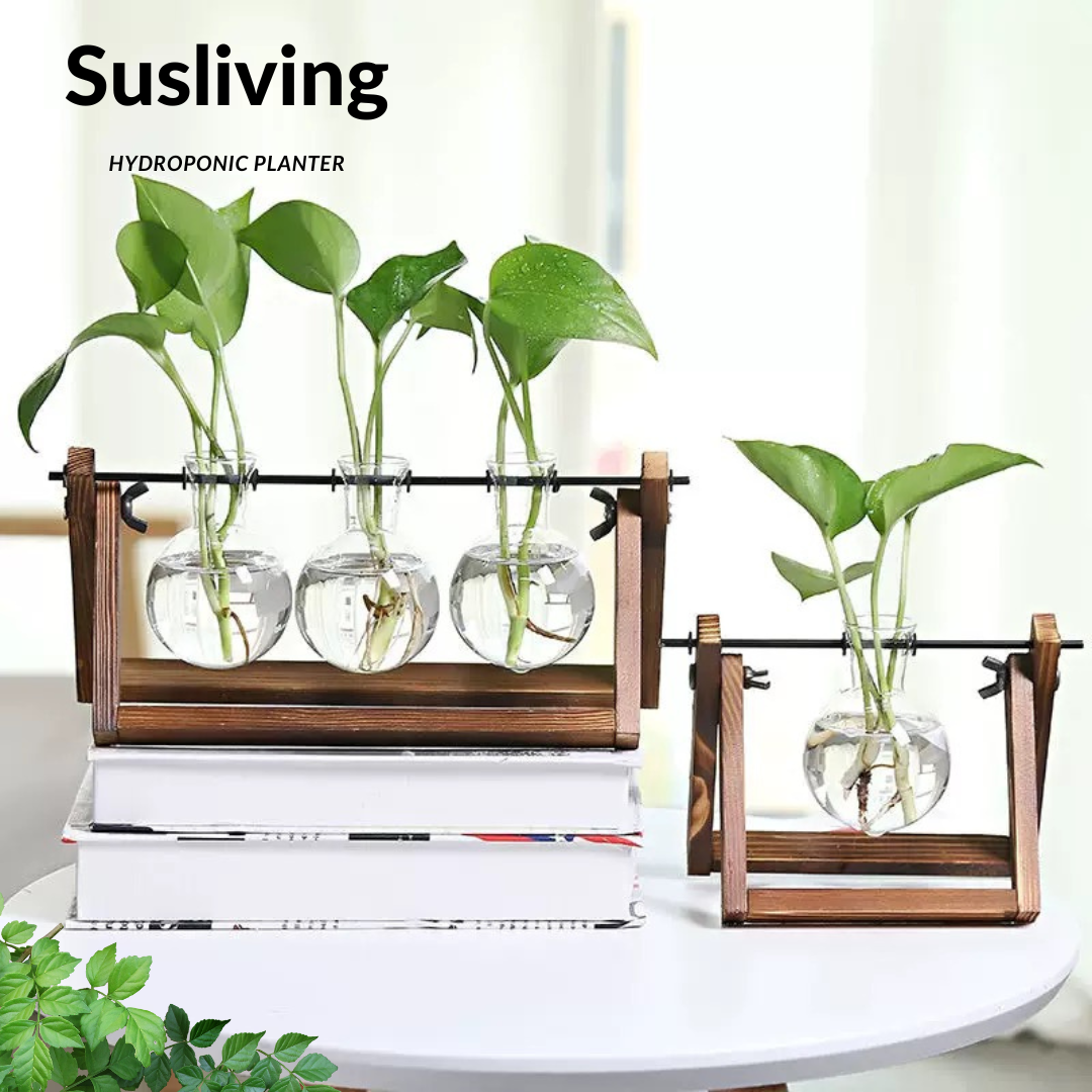 Glass Planter Hydroponic Pot Antique Frame 3PCS Sets By Susliving