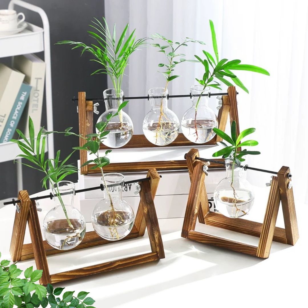 Glass Planter Hydroponic Pot Antique Frame 3PCS Sets By Susliving