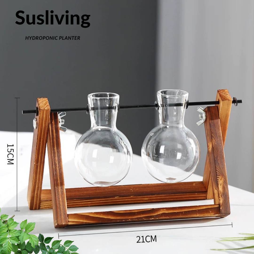 Glass Planter Hydroponic Pot Antique Frame 3PCS Sets By Susliving