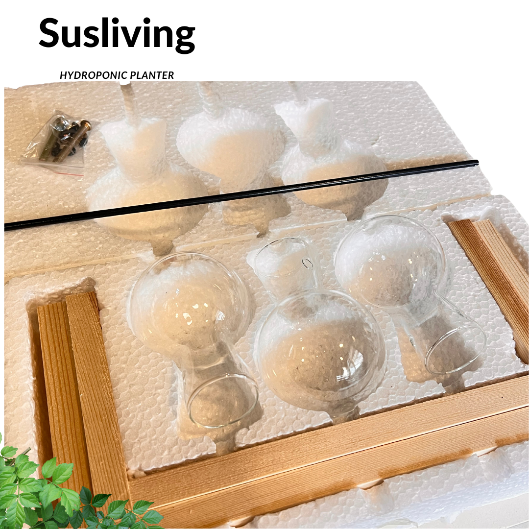 Glass Planter Hydroponic Pot Antique Frame 3PCS Sets By Susliving