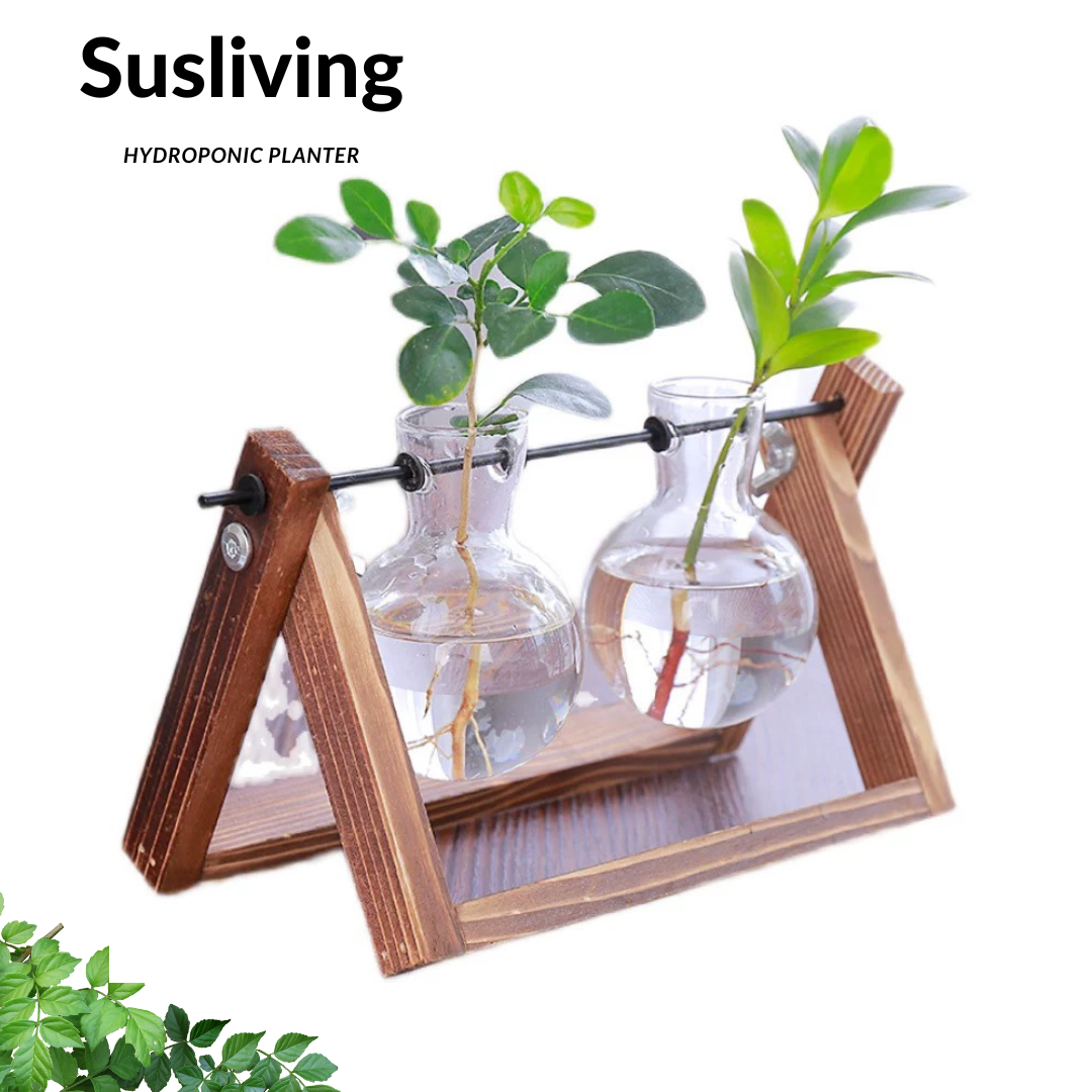 Glass Planter Hydroponic Pot Antique Frame 3PCS Sets By Susliving