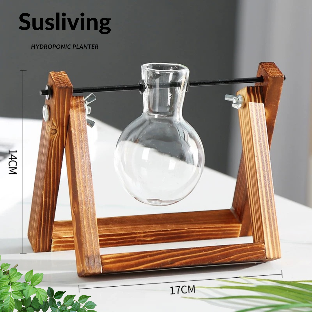 Glass Planter Hydroponic Pot Antique Frame 3PCS Sets By Susliving