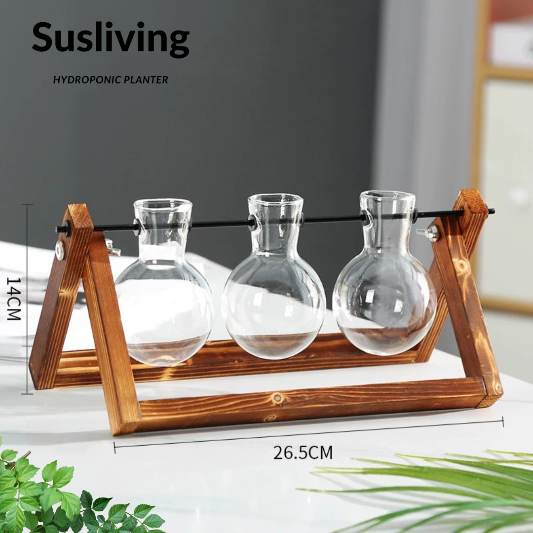Glass Planter Hydroponic Pot Antique Frame 3PCS Sets By Susliving