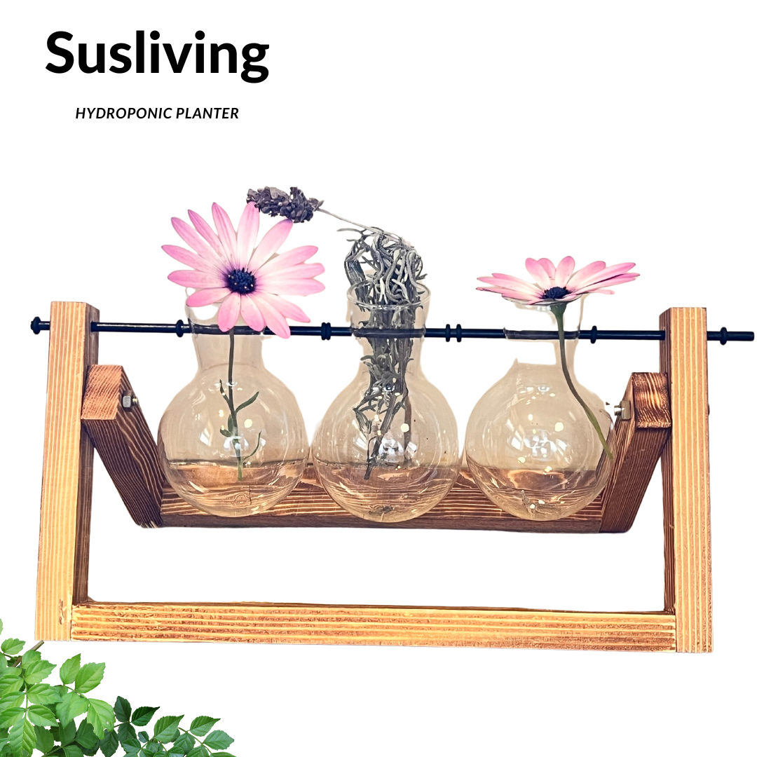 Glass Planter Hydroponic Pot Antique Frame 3PCS Sets By Susliving