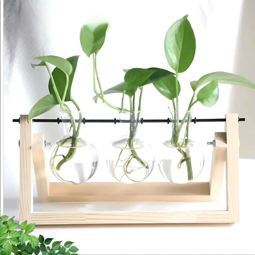 Glass Planter Hydroponic Pot Burlywood Frame Stand Table Decor