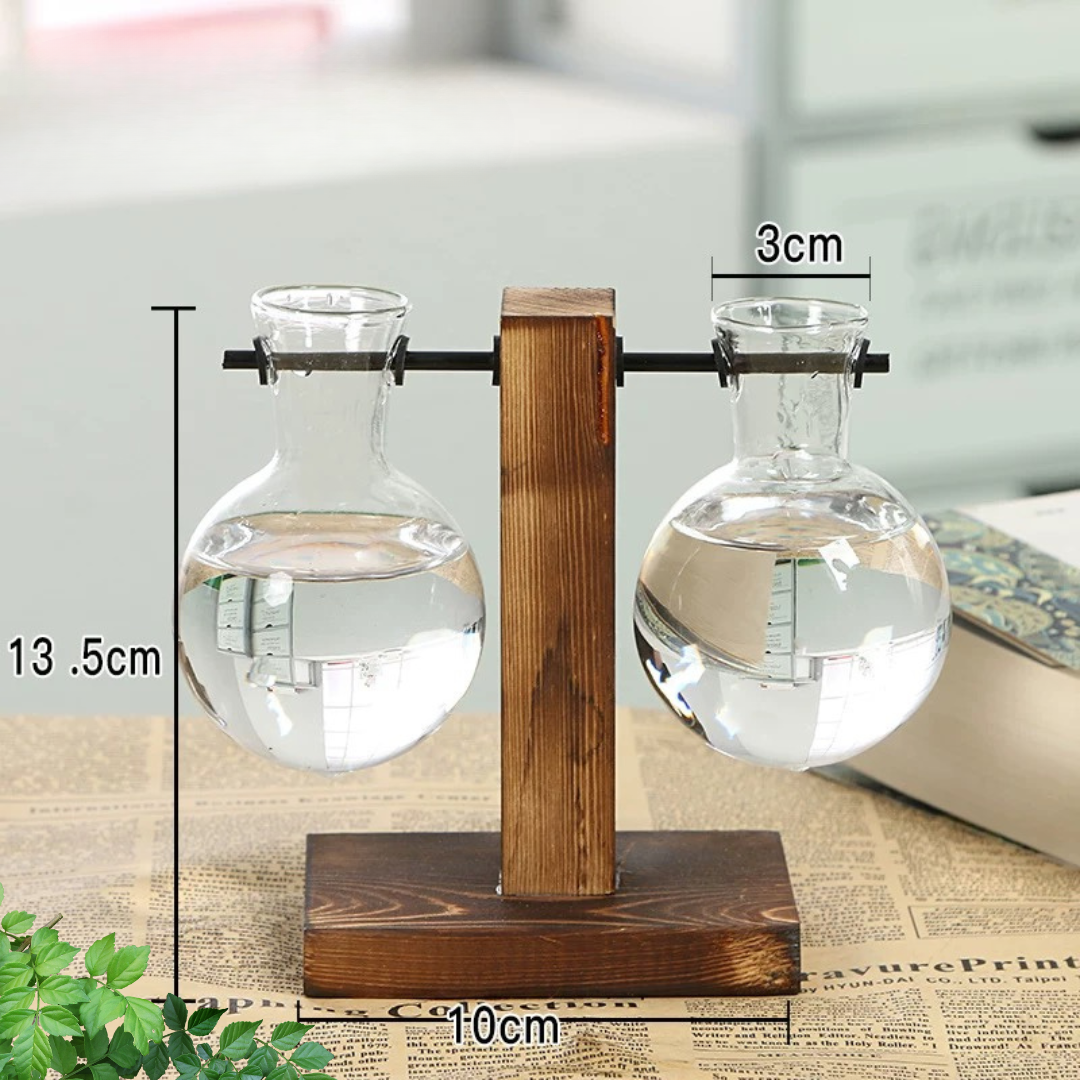 Glass Planter Hydroponic Pot Stylish Antique Frame By Susliving