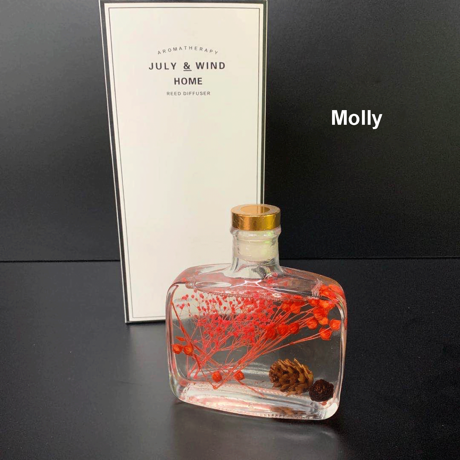 July & Wind Home 艺术精油扩散器 Molly