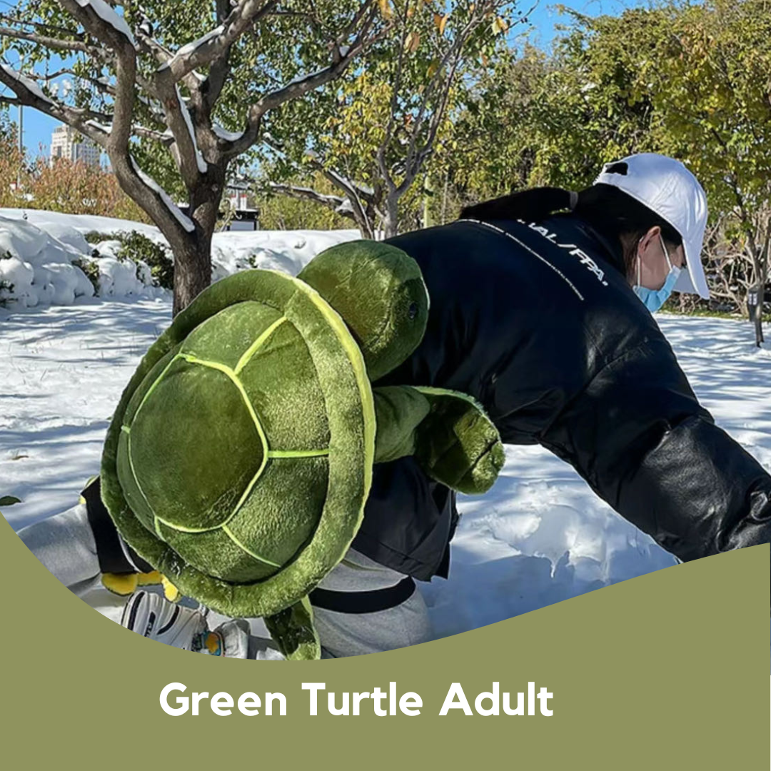 Snow Turtle 护臀单板滑雪绿色成人款