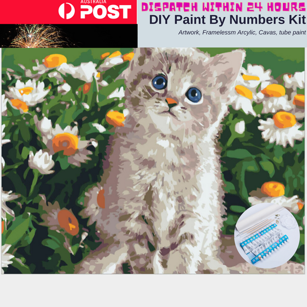 Paint by Numbers Kit Animal Large 40 by 50 Oil Painting White Kitten