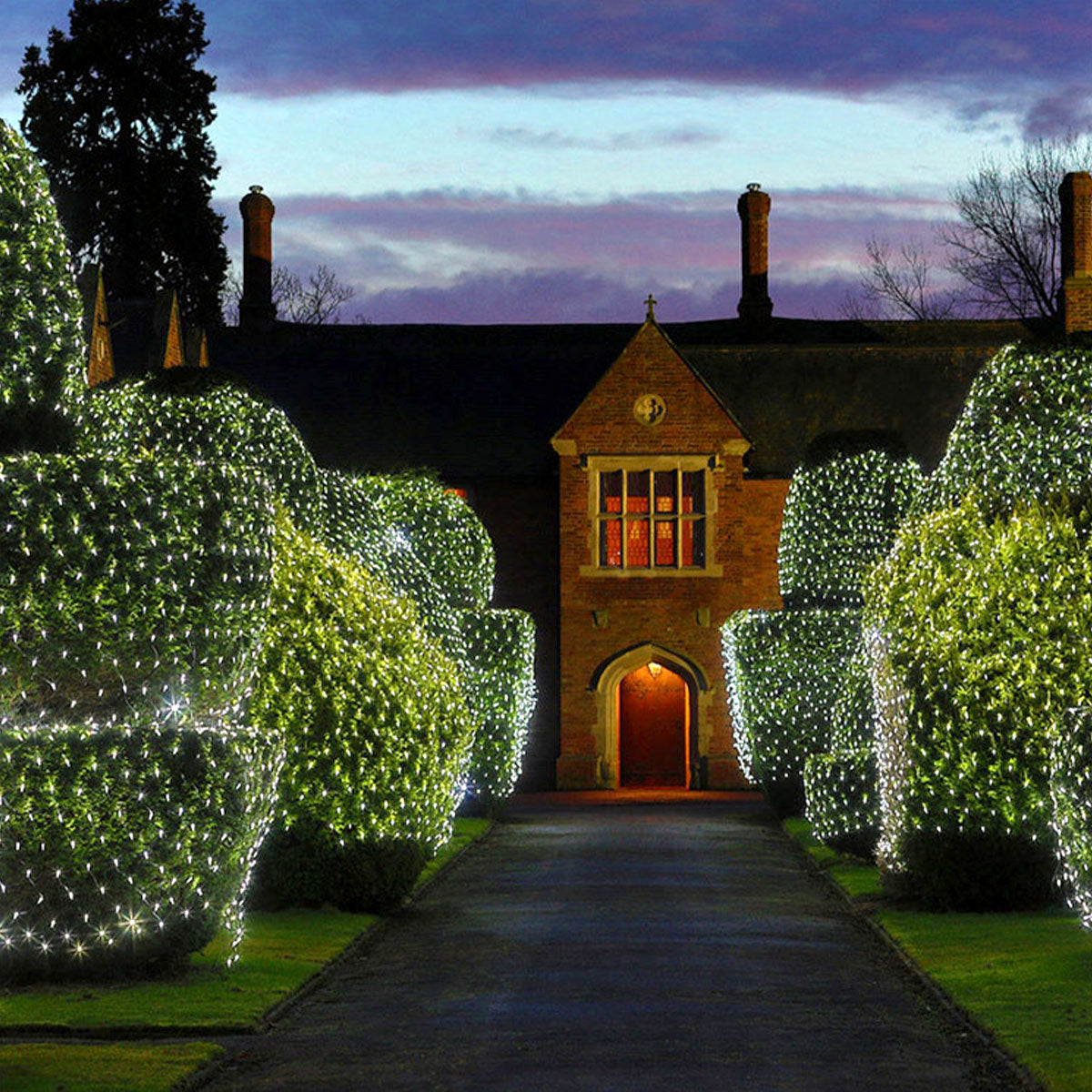 LED String Fairy Lights Net Mesh Curtain Xmas Wedding Party Garden Decor Outdoor - Gadget arcade