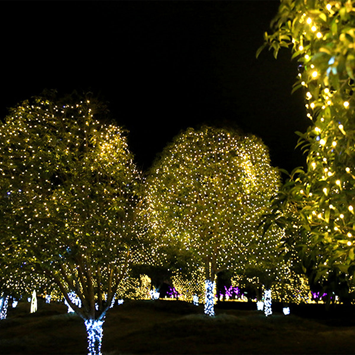 LED String Fairy Lights Net Mesh Curtain Xmas Wedding Party Garden Decor Outdoor - Gadget arcade
