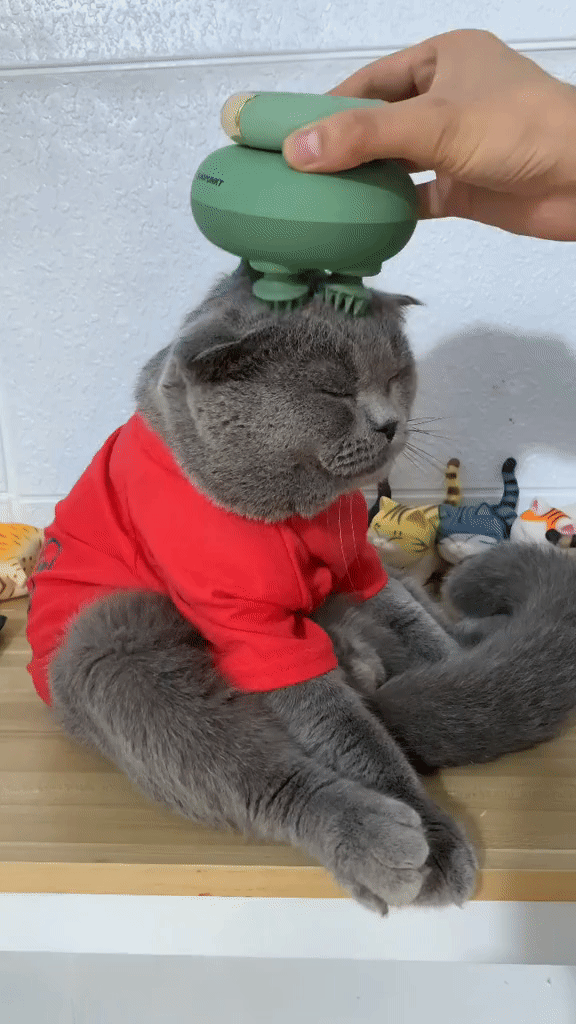 Blaupunkt Cat Massager Sapphire Green Hair Scalp Massage Designed In Germany