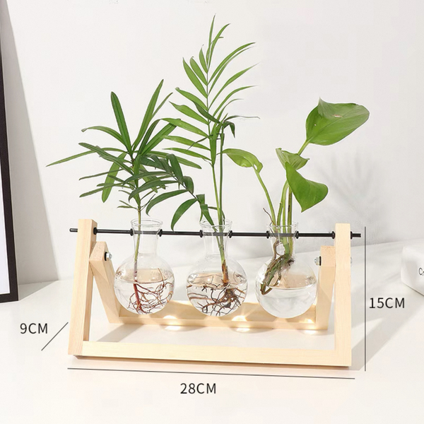 Glass Planter Hydroponic Pot Burlywood Frame Stand Table Decor