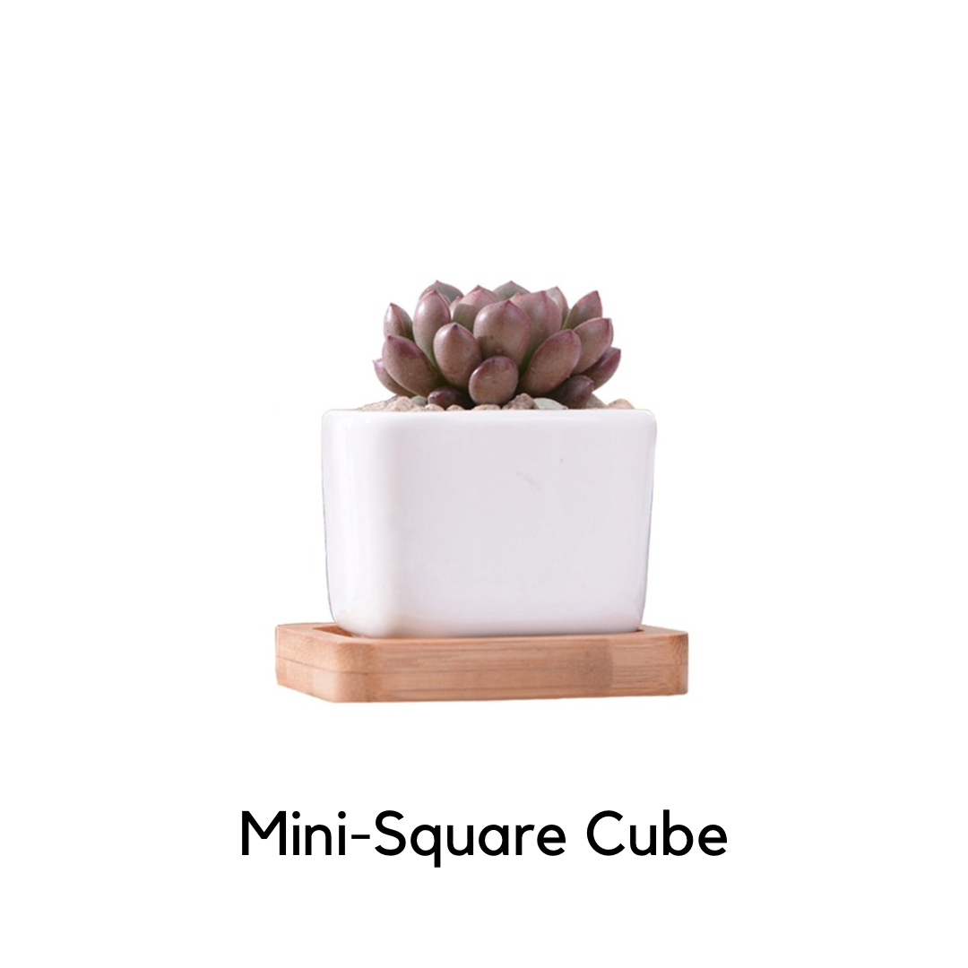 Susliving Minimalist Ceramic Bamboo Stand Indoor Decor