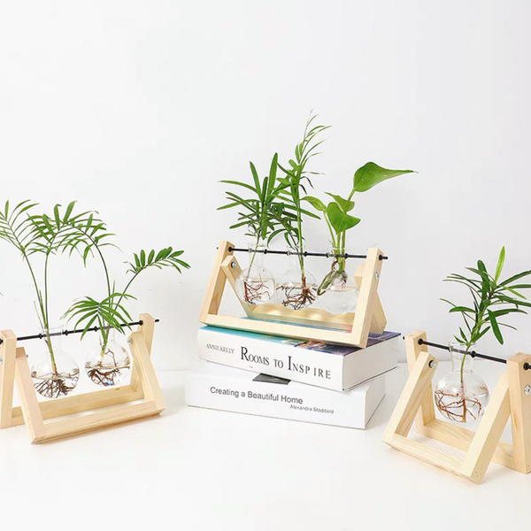 Glass Planter Hydroponic Pot Burlywood Frame Stand Table Decor