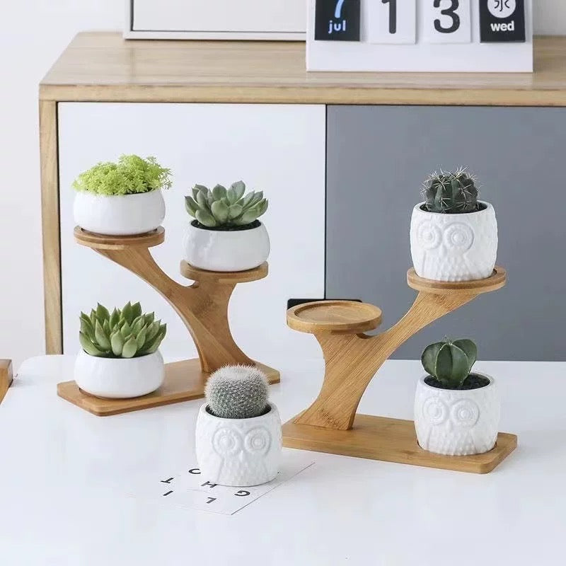 Susliving Minimalist Ceramic Planter Wooden Stand -  Three Pots