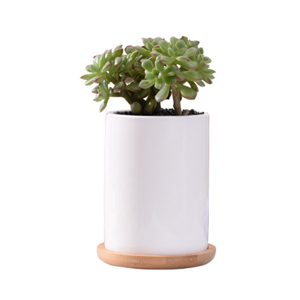 Susliving Zen Style Ceramic Bamboo Stand Indoor Decor Succulent Planter - Cylinder