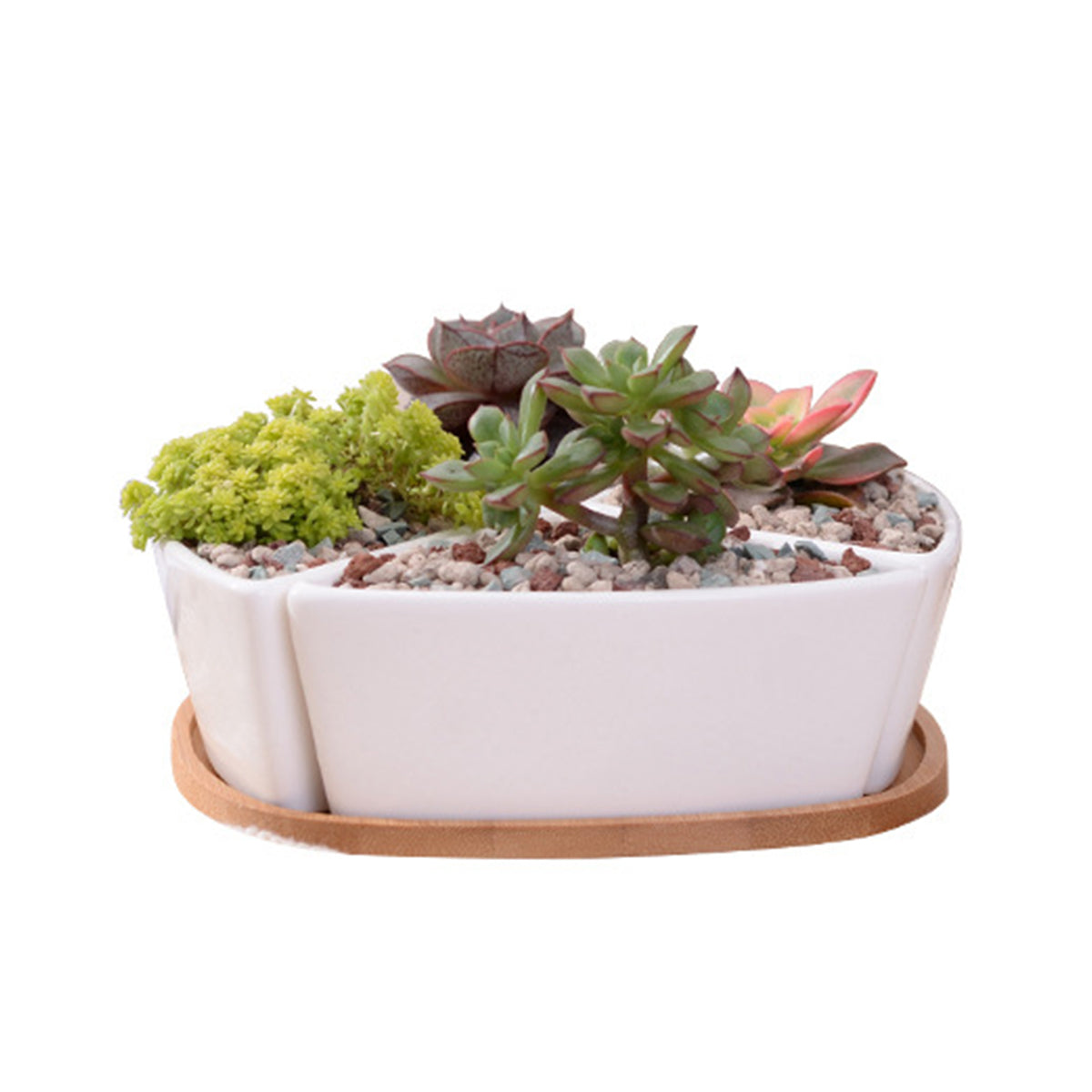 Susliving Zen Style Ceramic Bamboo Stand Indoor Decor Succulent Planter- Four Quarters