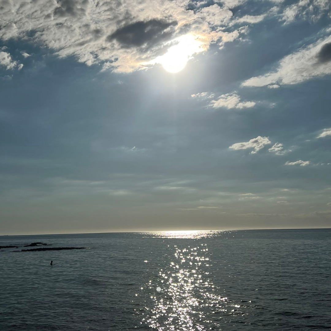 Guided Abalone Discovery Tour With Two Swimming Pool Session