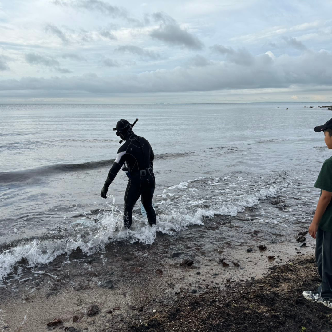 Guided Abalone Discovery Tour With Two Swimming Pool Session