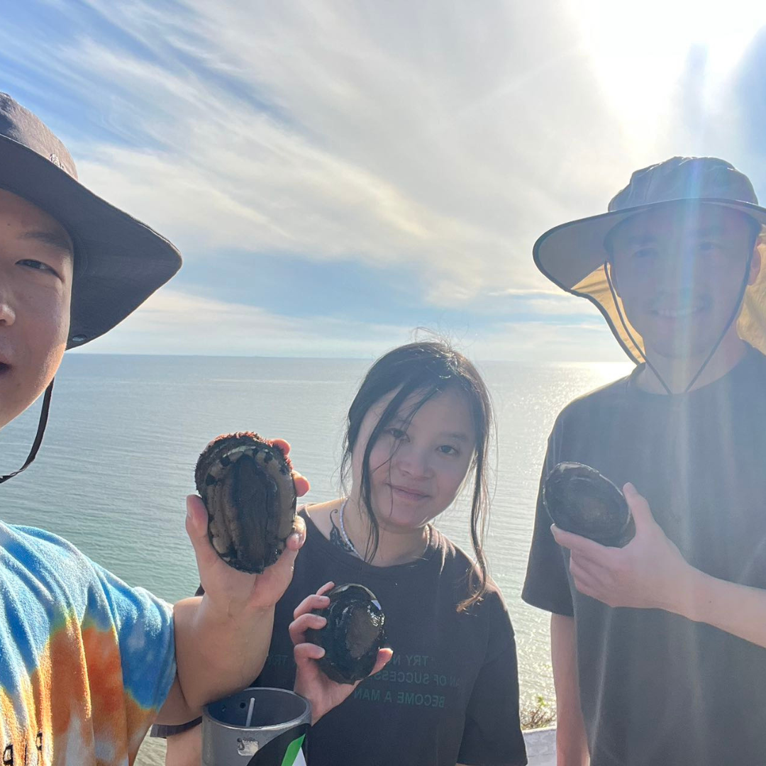 Guided Abalone Discovery Tour With Two Swimming Pool Session