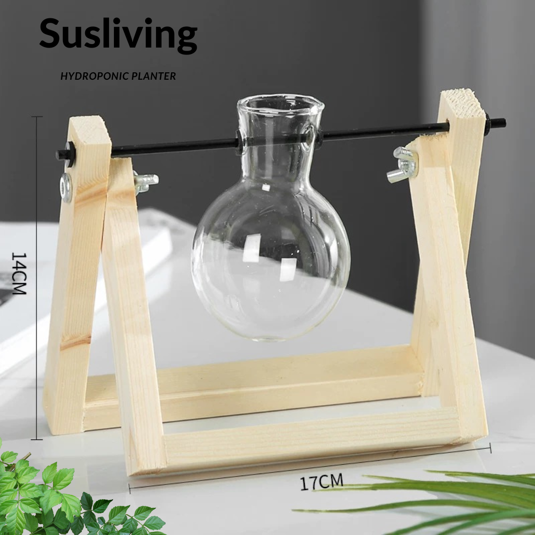 Glass Planter Hydroponic Pot Burlywood Frame By Susliving