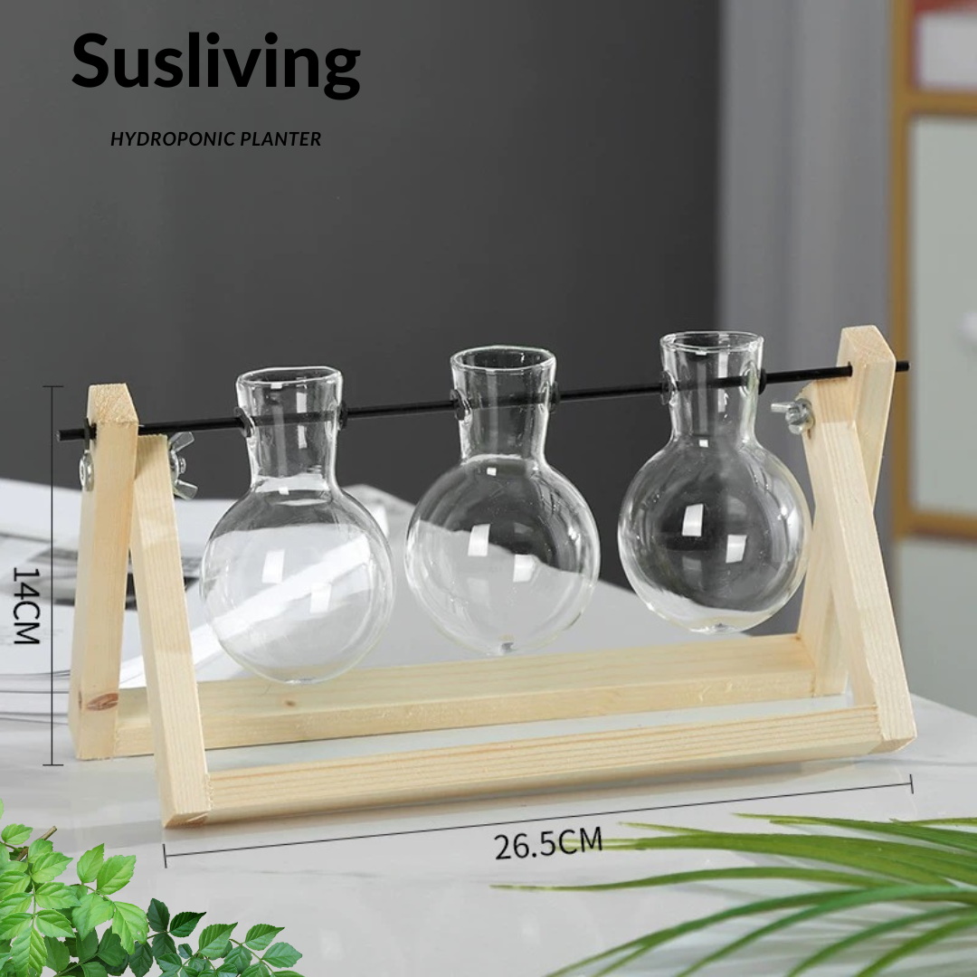 Glass Planter Hydroponic Pot Burlywood Frame By Susliving