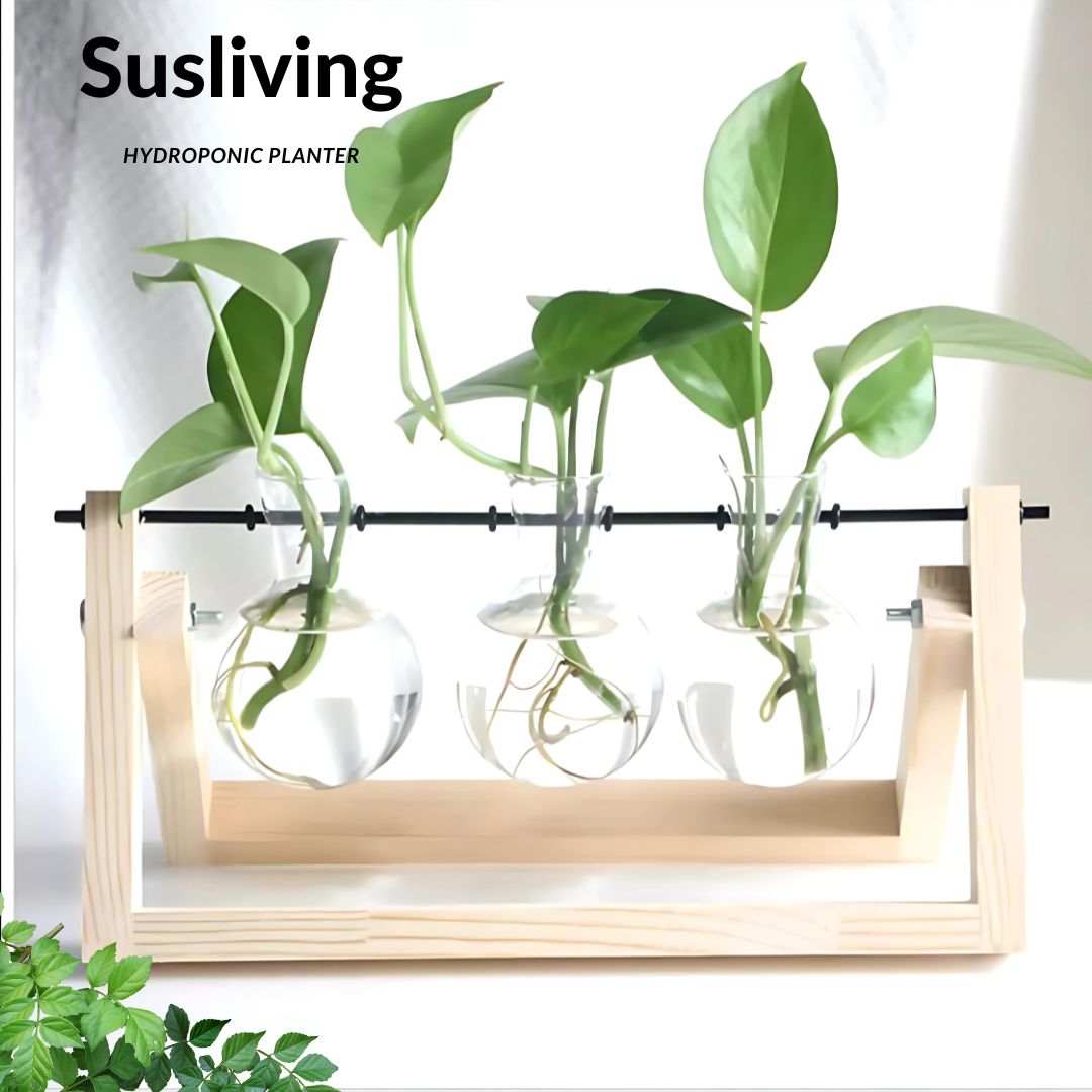 Glass Planter Hydroponic Pot Burlywood Frame By Susliving