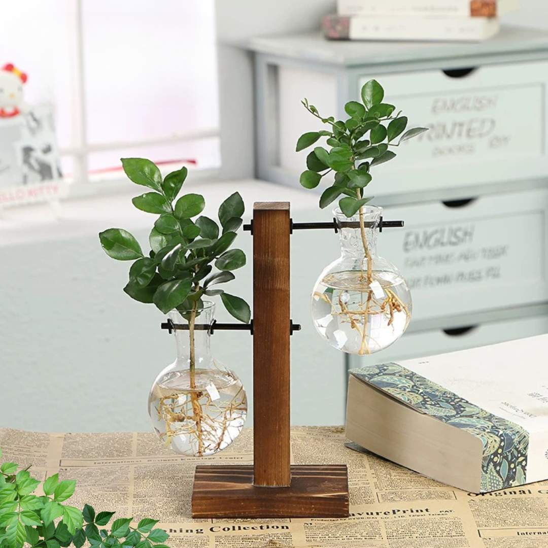 玻璃花盆水培花盆时尚古董框架 Susliving 出品
