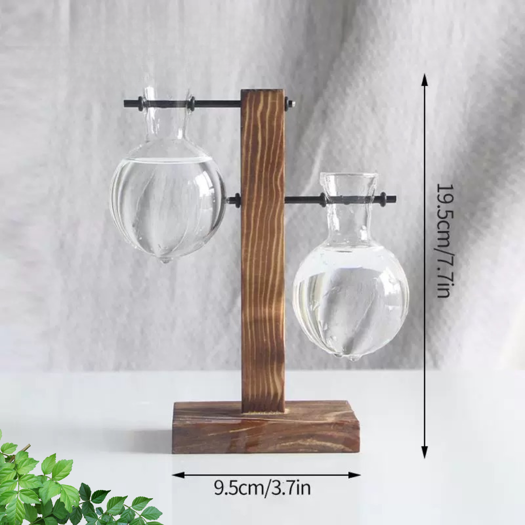 玻璃花盆水培花盆时尚古董框架 Susliving 出品