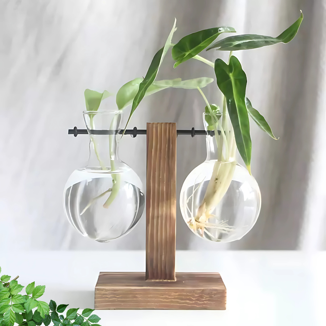 Glass Planter Hydroponic Pot Stylish Antique Frame By Susliving