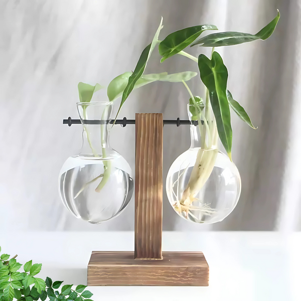 玻璃花盆水培花盆时尚古董框架 Susliving 出品