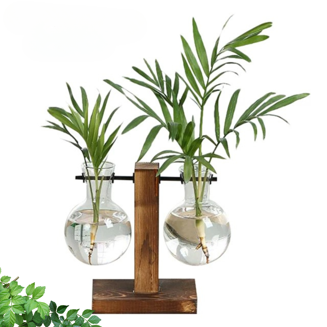 玻璃花盆水培花盆时尚古董框架 Susliving 出品