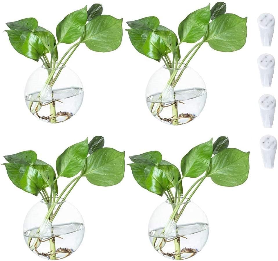 Susliving Wall-Mounted Clear Glass Terrarium Flower Vases 10cm Set of 4