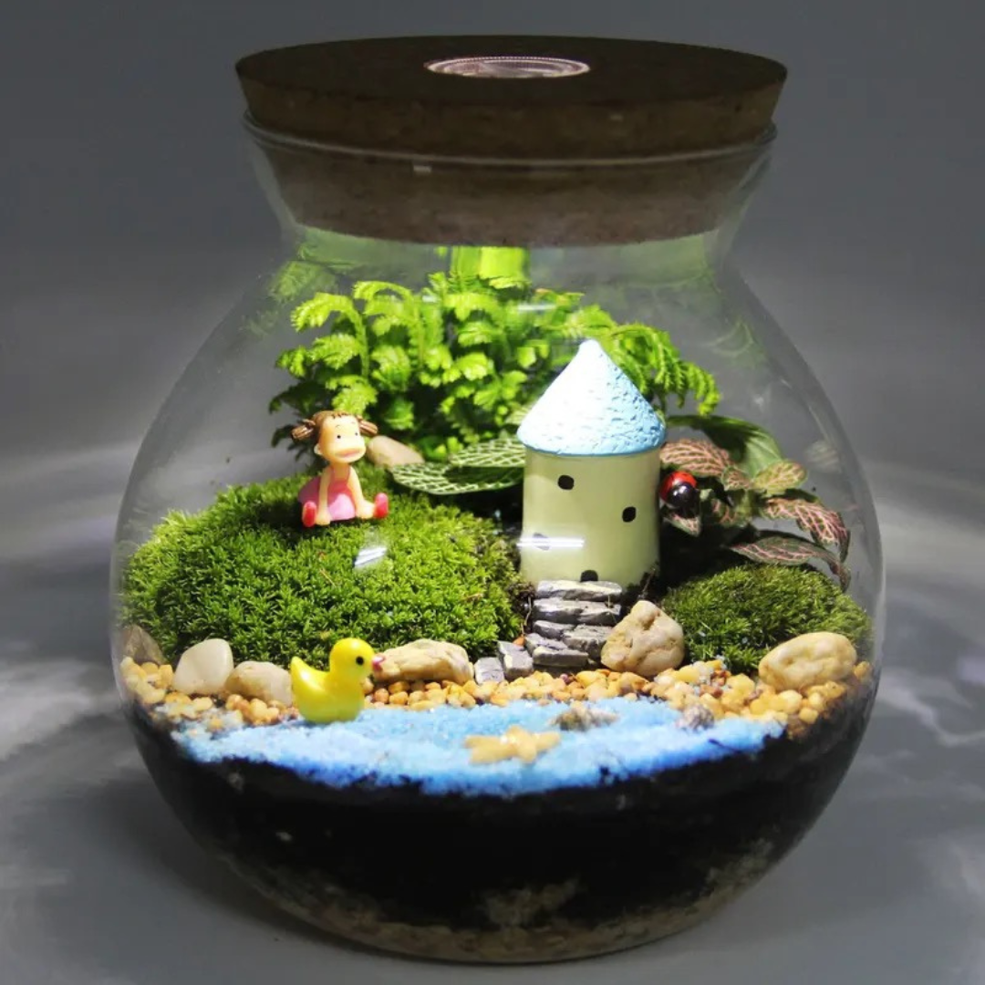 Flat Bottom Bonsai Glass Pot Succulent Planter Terrarium Vessel fish bowl micro garden pot
