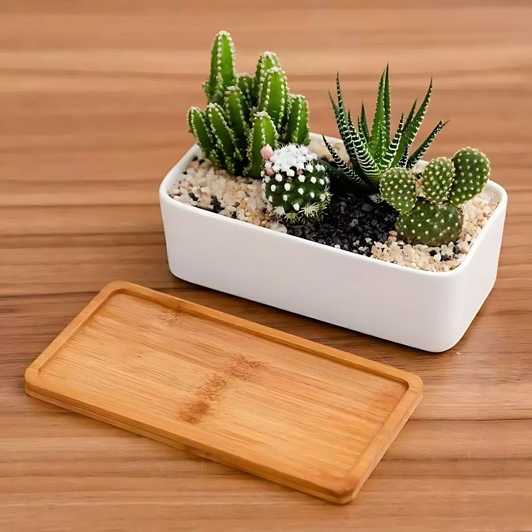 Bamboo Tray White Ceramic Rectangular Bonsai Planter Pot