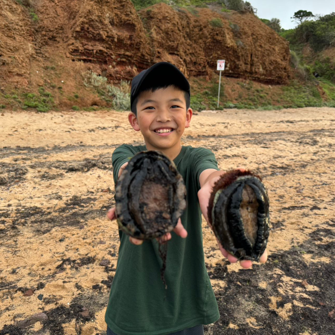 Guided Abalone Discovery Tour With Two Swimming Pool Session