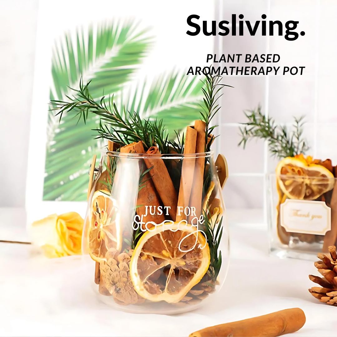 Susliving Dried Foliage Pinecones Eucalyptus Lemon Cinnamon Décor Home Aromatherapy