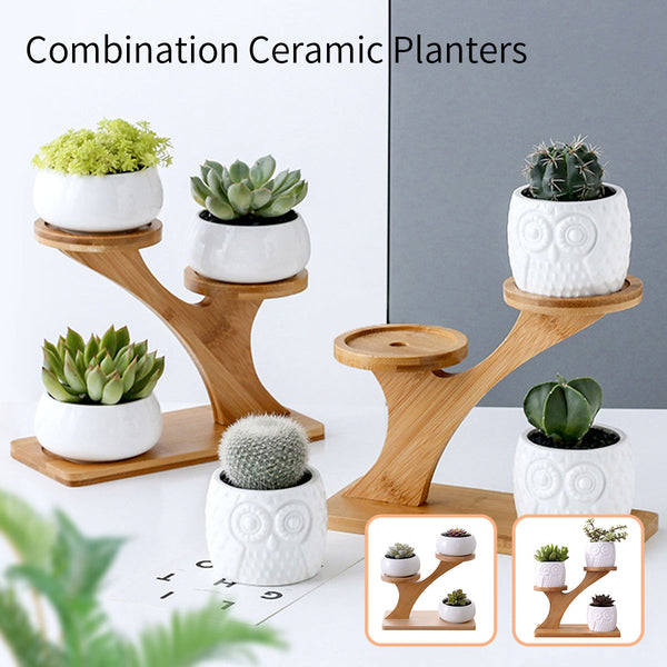 Flower Planter Ceramic Pots Bamboo Drag Creative Home Office Study Garden Decor - Gadget arcade