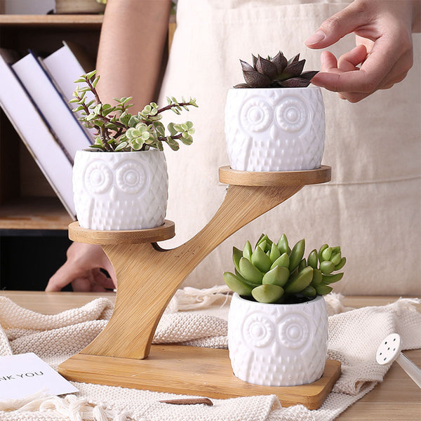 Flower Planter Ceramic Pots Bamboo Drag Creative Home Office Study Garden Decor - Gadget arcade