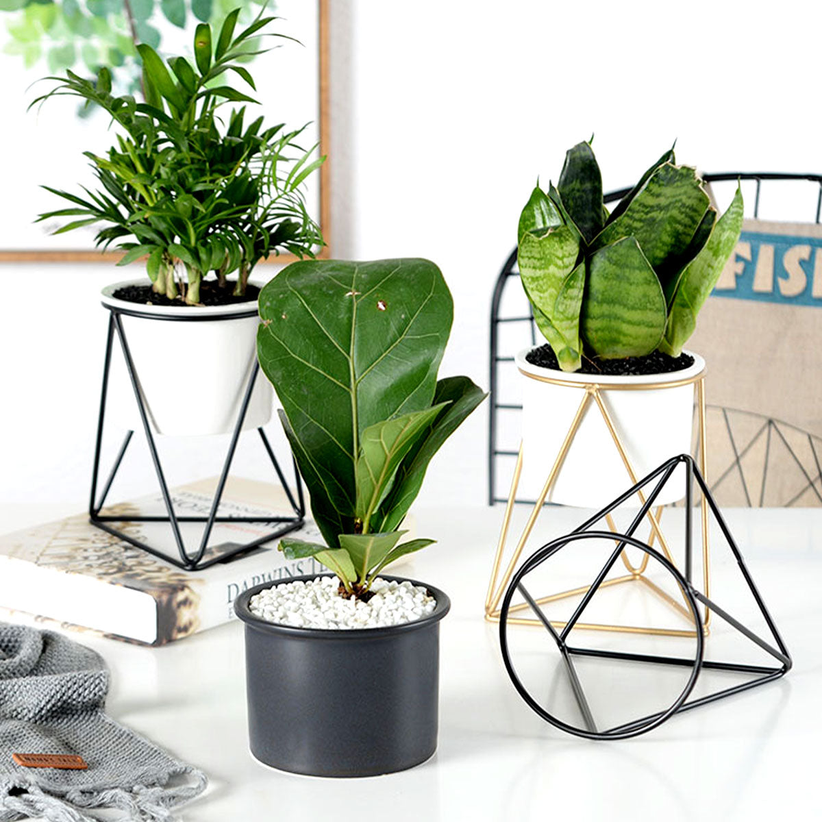 Steel Frame Ceramic Pots Flower Planter - Gadget arcade