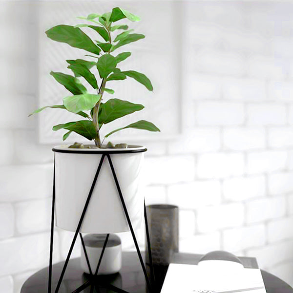 Steel Frame Ceramic Pots Flower Planter - Gadget arcade