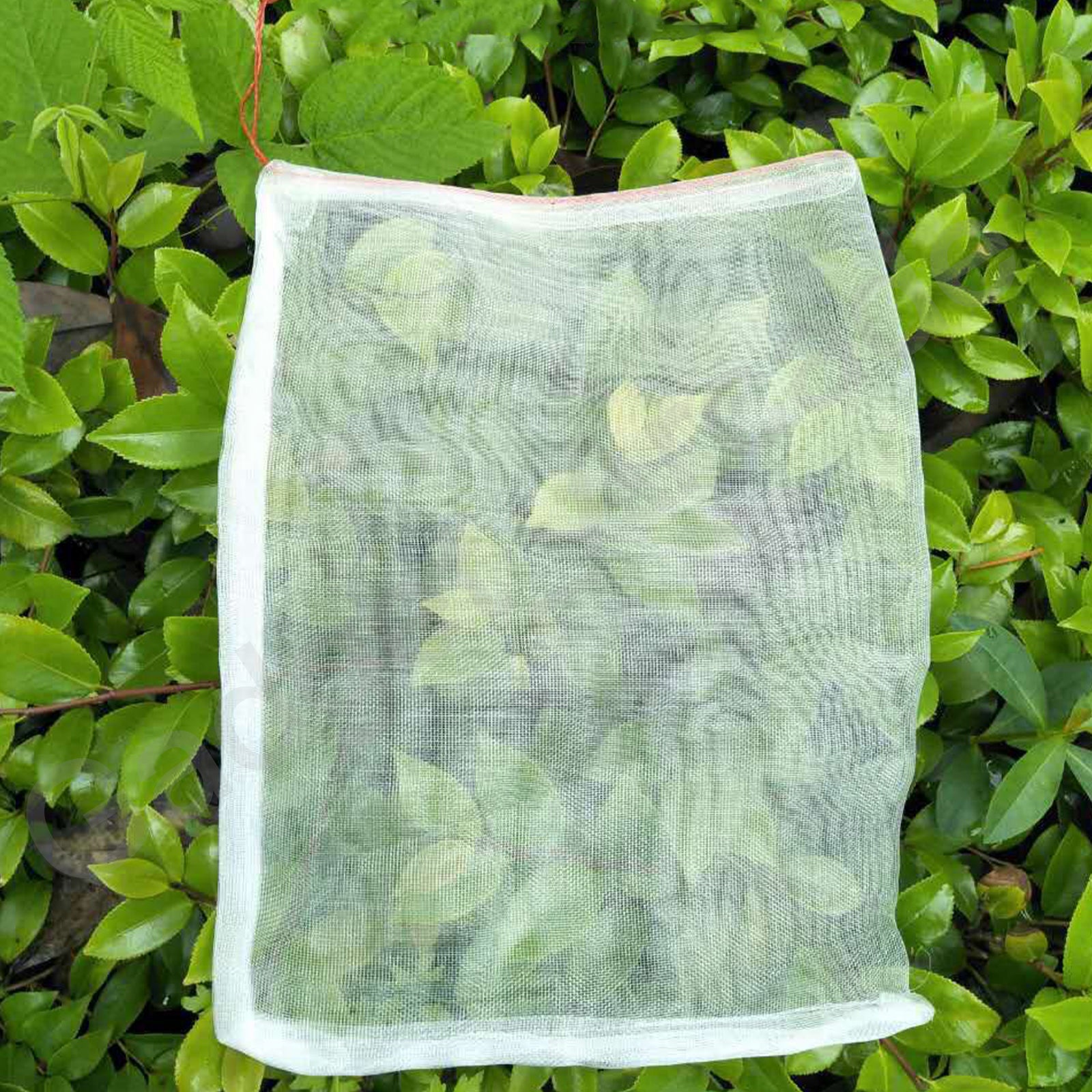 50/100 Fruit Net Bags Mesh Insect Proof - Gadget arcade