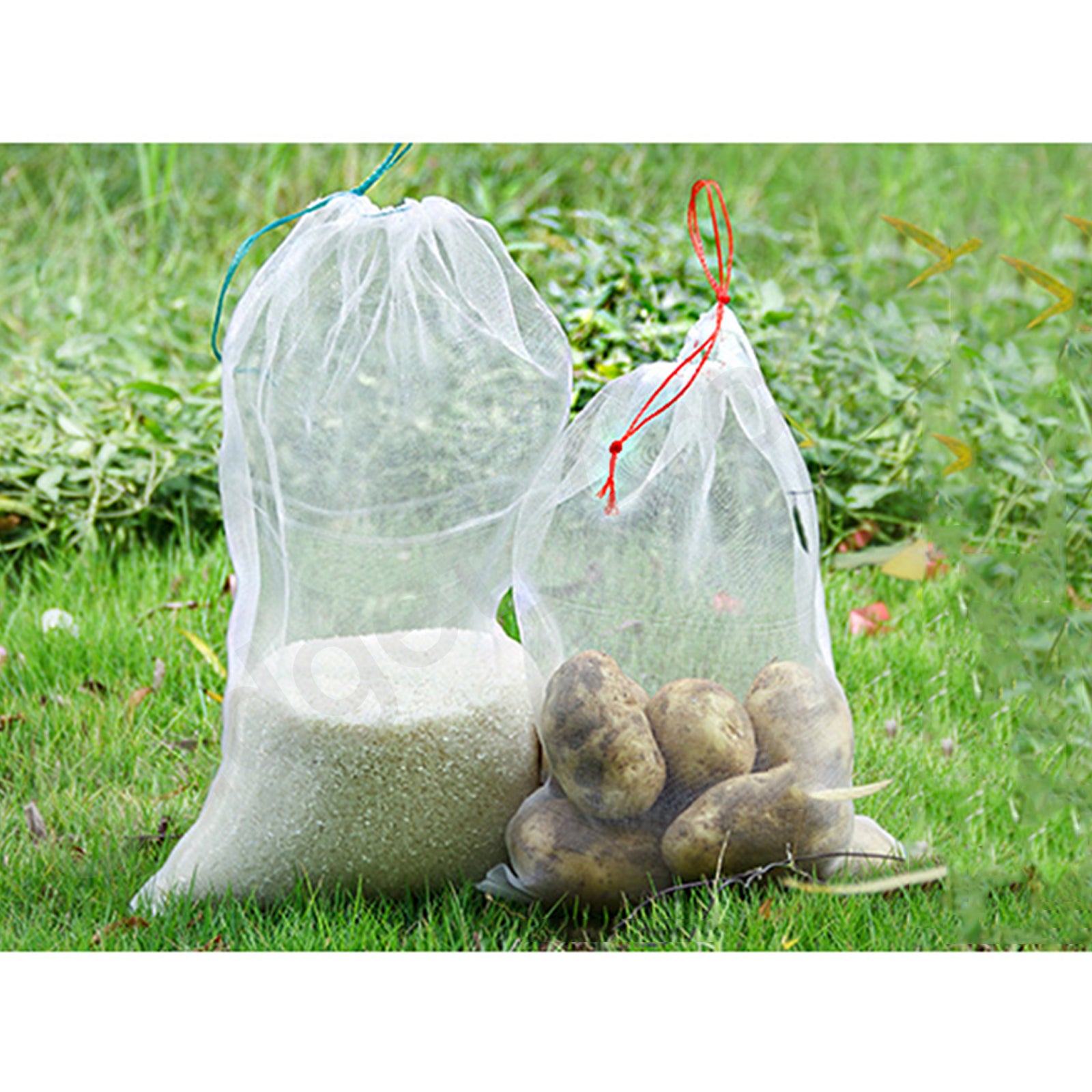 50/100 Fruit Net Bags Mesh Insect Proof - Gadget arcade