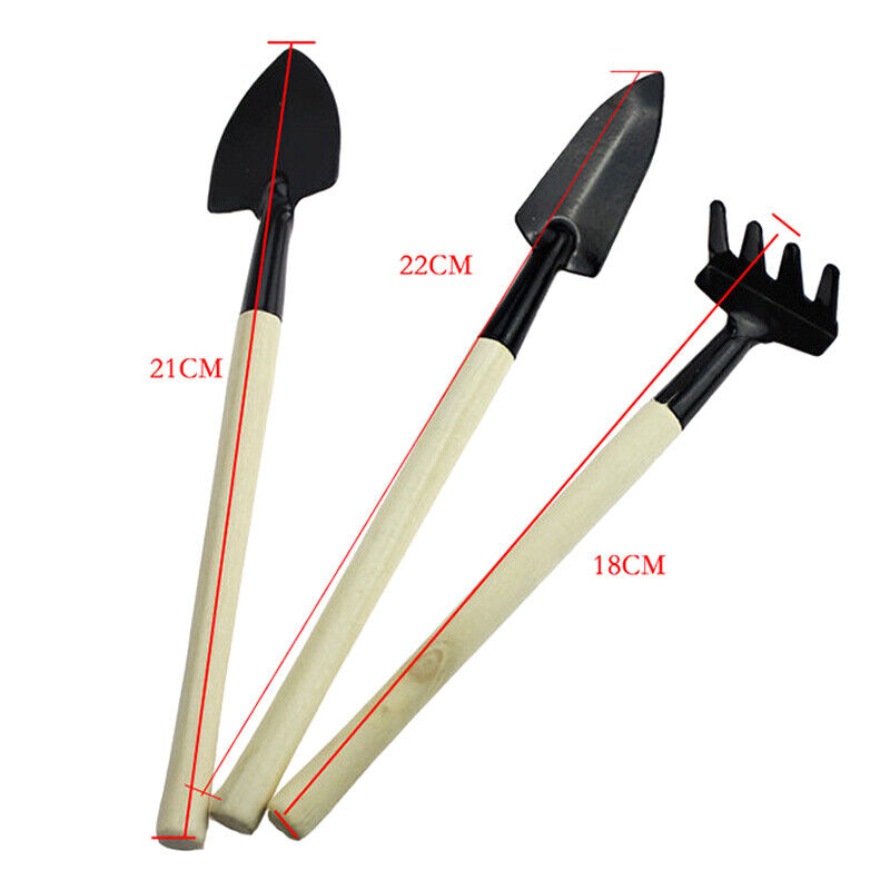 3PCs Mini Garden Tools for Bonsai Garden Succulent Repotting