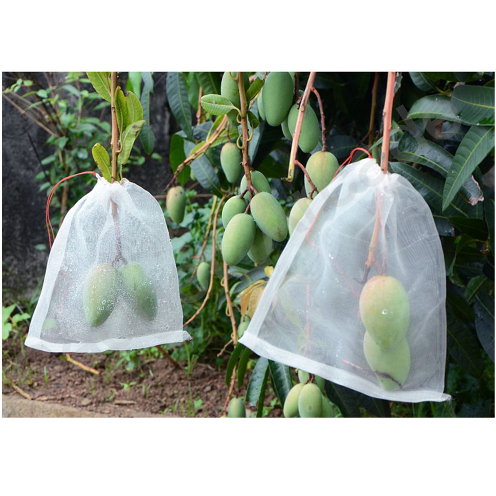 50/100 Fruit Net Bags Mesh Insect Proof - Gadget arcade