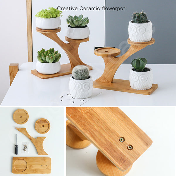 Christmas Ceramic Pots Bamboo Drag Flower Planter Home Office Study Garden Gift - Gadget arcade